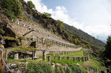 Vitigno In VdA