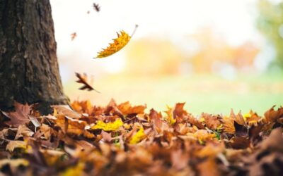Ottobre da vivere insieme